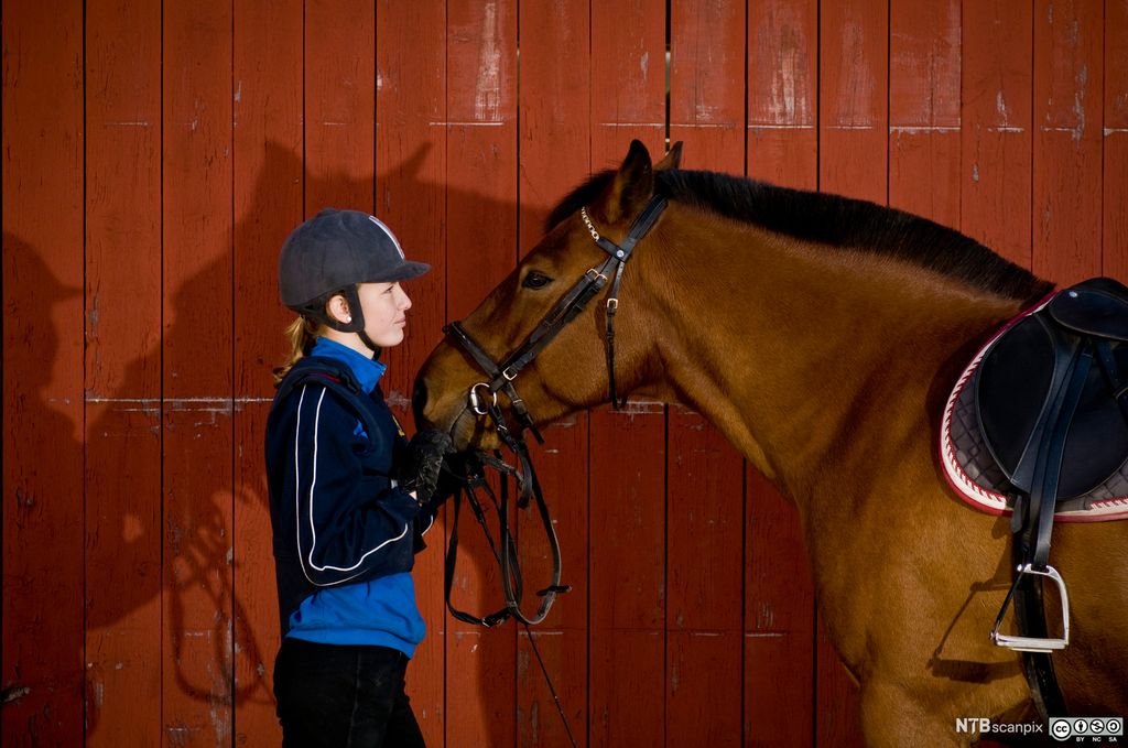 Jente med hest. Foto.