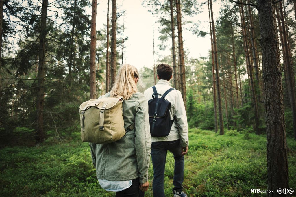 Jente og gut med sekk på ryggen går innover i skogen. Foto.