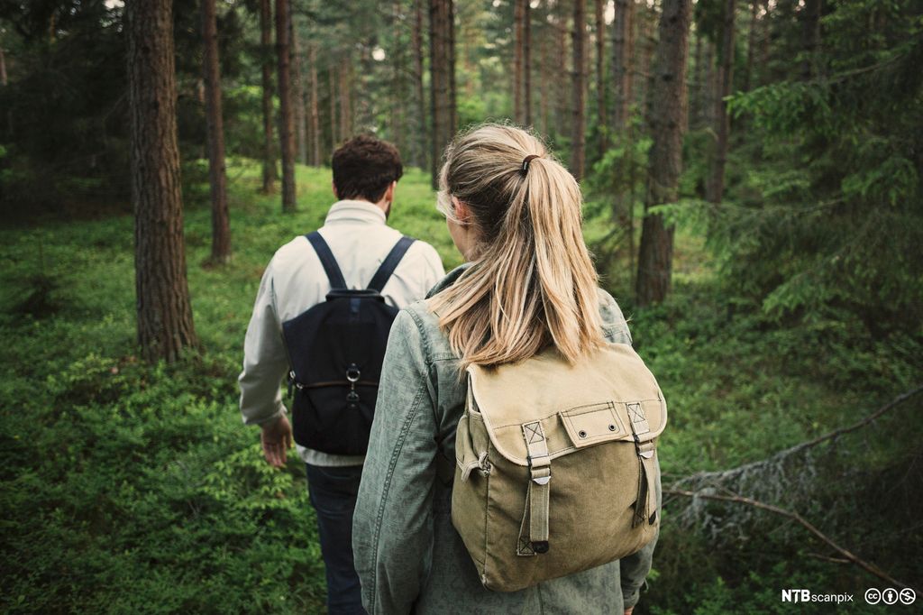  To ungdomar på skogstur. Foto.