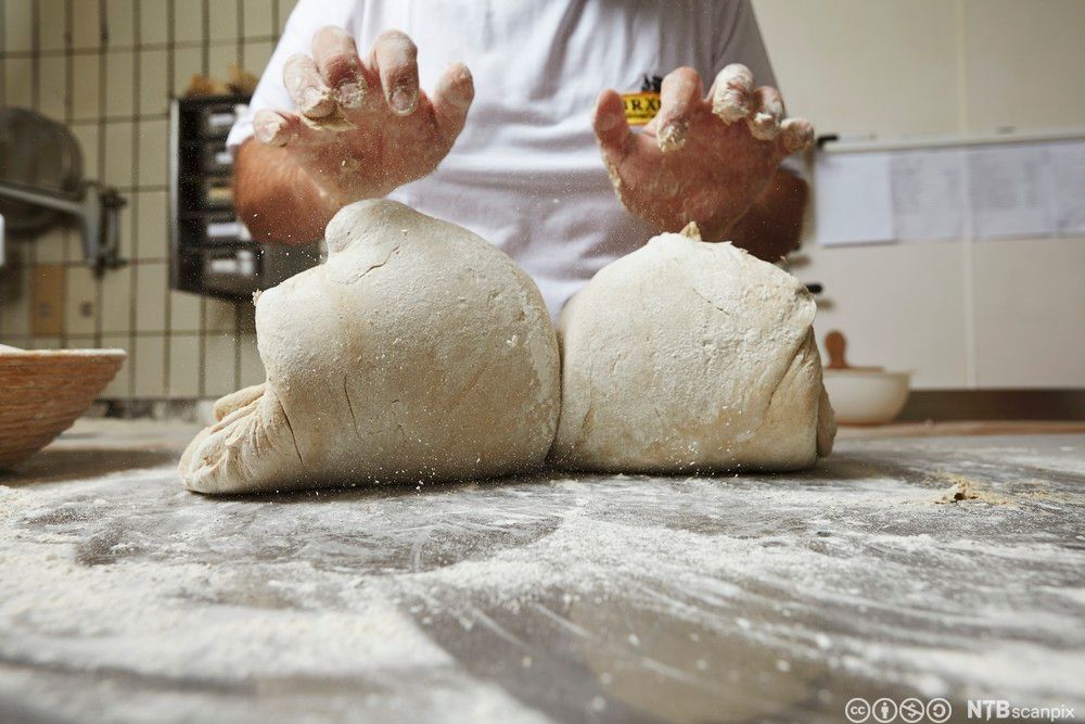En baker jobber med en gjærdeig. Foto.