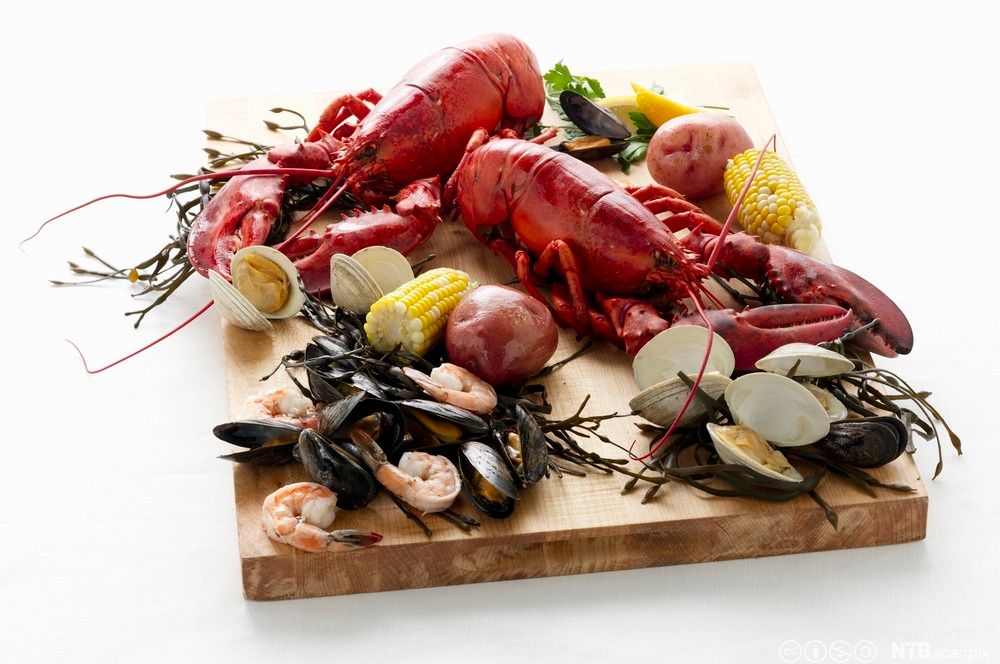 Skalldyr som er anrettet på en trefjøl. Foto.