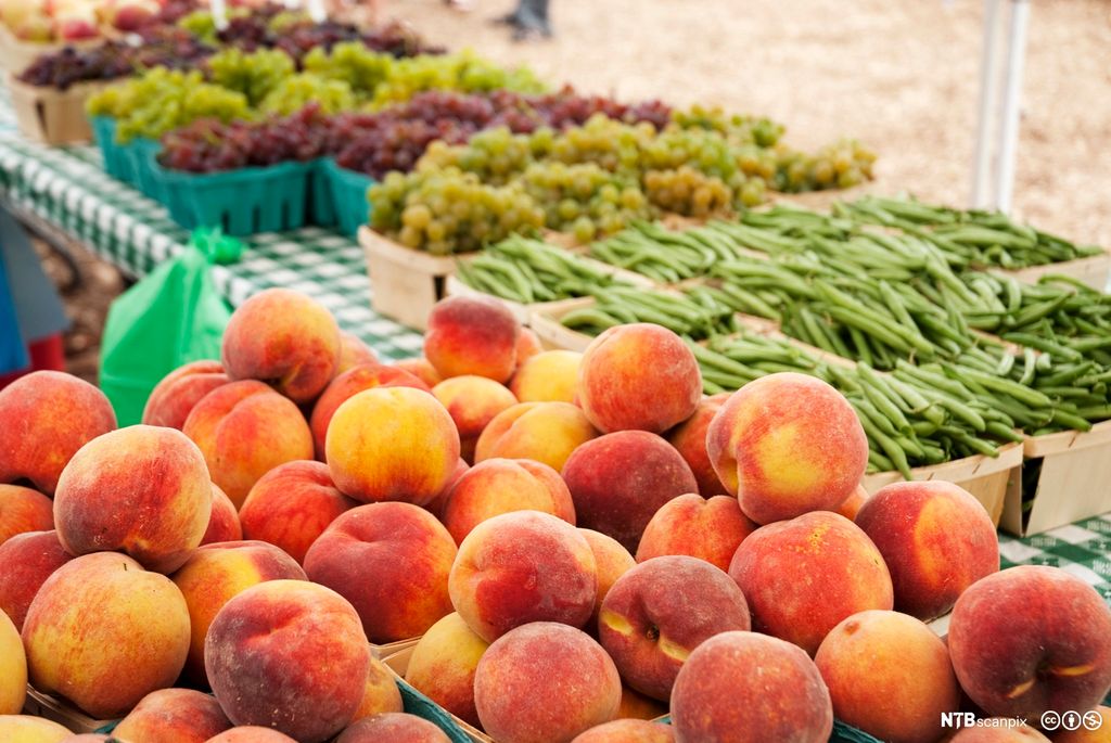 Bord med kurver med fersken i forgrunnen og kurver med druer og brekkbønner i bakgrunnen. Foto.