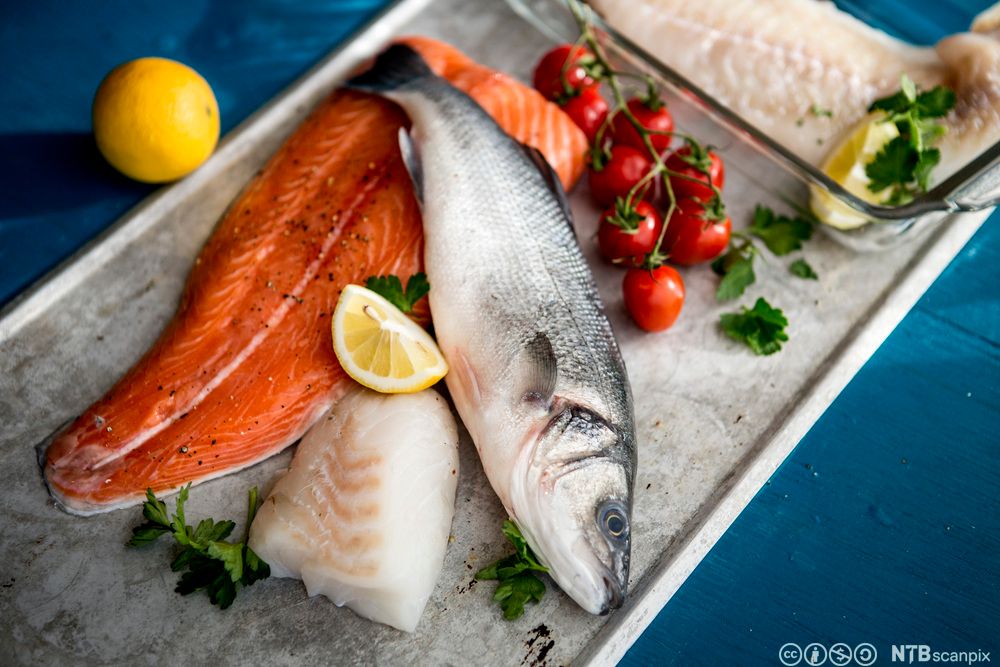 Hel laks og torske- og laksefilet som ligger på et fat. Foto.