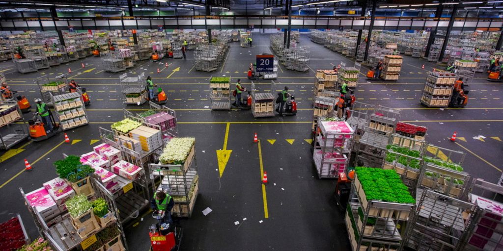 Blomster på paller. foto.