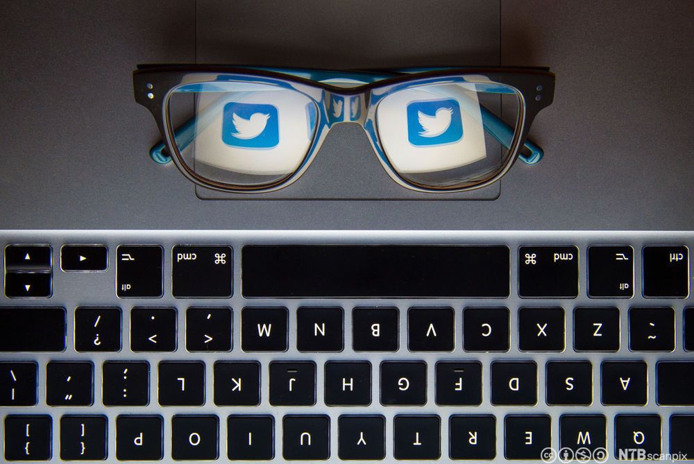 Et par briller ligger foran et tastatur, og Twitter-logoen reflekteres i brilleglassene. Foto.