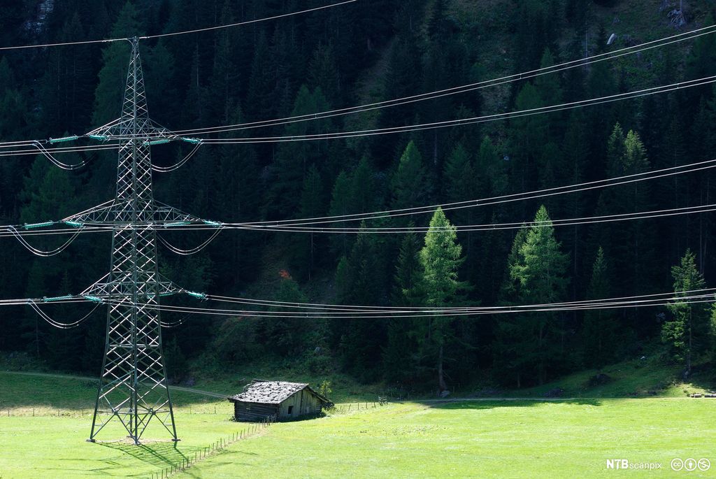 Allagealddamásta mieskan vistti guoras kulturduovdagis. Govva.