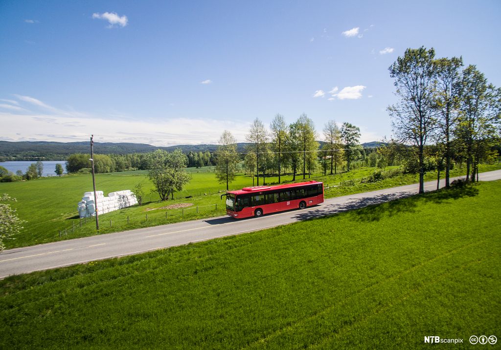 Rød buss kjører gjennom landskap med grønne marker og trær. Foto.