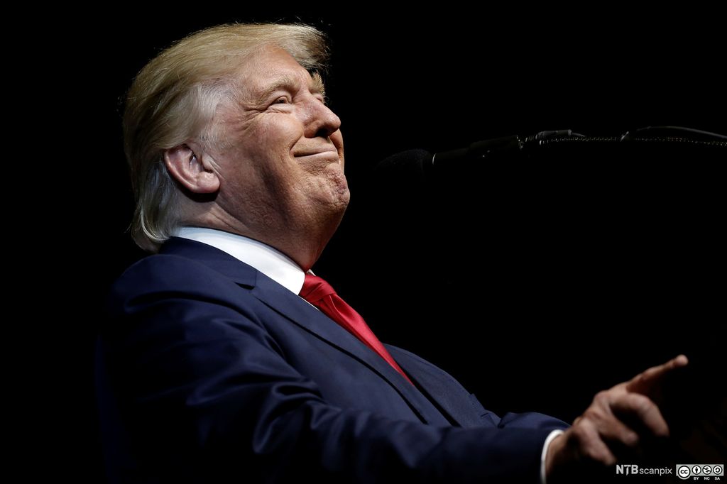 Portrett av Donald Trump i profil foran et mikrofonstativ. Han har dress, rødt slips og smiler bredt. Foto.