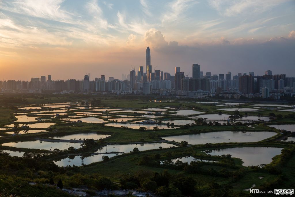 Våtmarksområder utenfor Hong Kong. Foto.