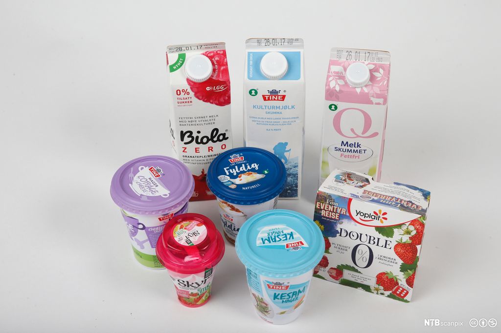 Ulike meieriprodukter som melk, Biola, cottage cheese, yoghurt og Skyr. Foto.