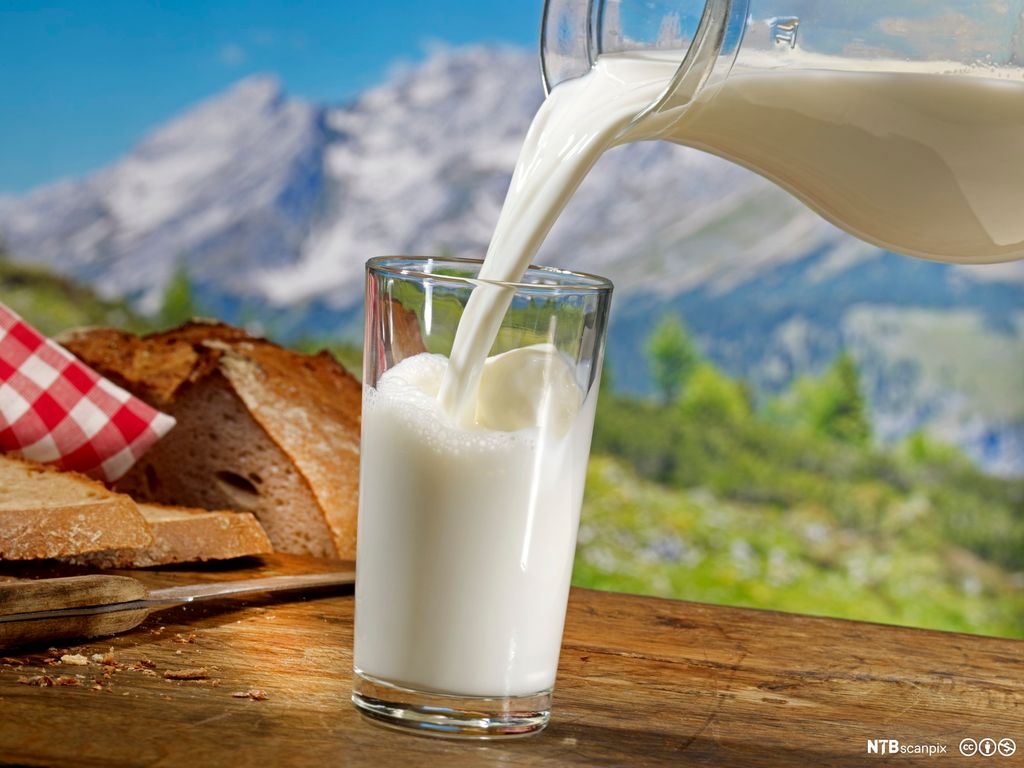 Melk helles fra ei mugge ned i et glass som står på et bord. Oppskåret brød til venstre i bildet. Fjell i bakgrunnen. Foto.