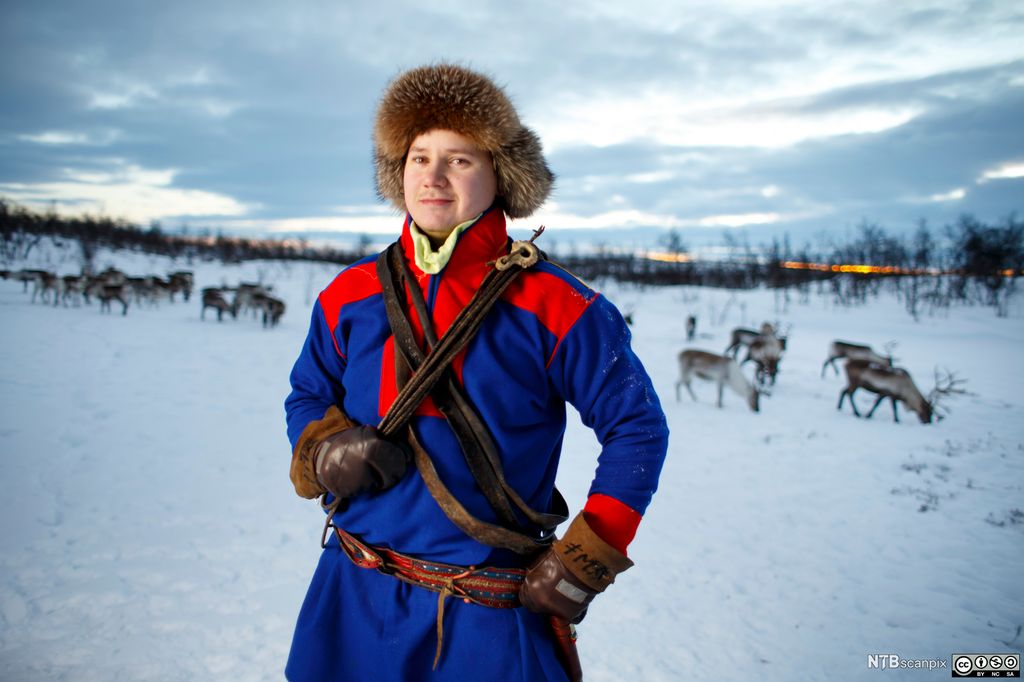 Mann i samekofte og pelslue på vidda om vinteren. Reinsdyr i bakgrunnen. Foto.