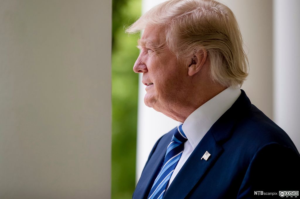 USAs  45. president Donald Trump. Foto. 
