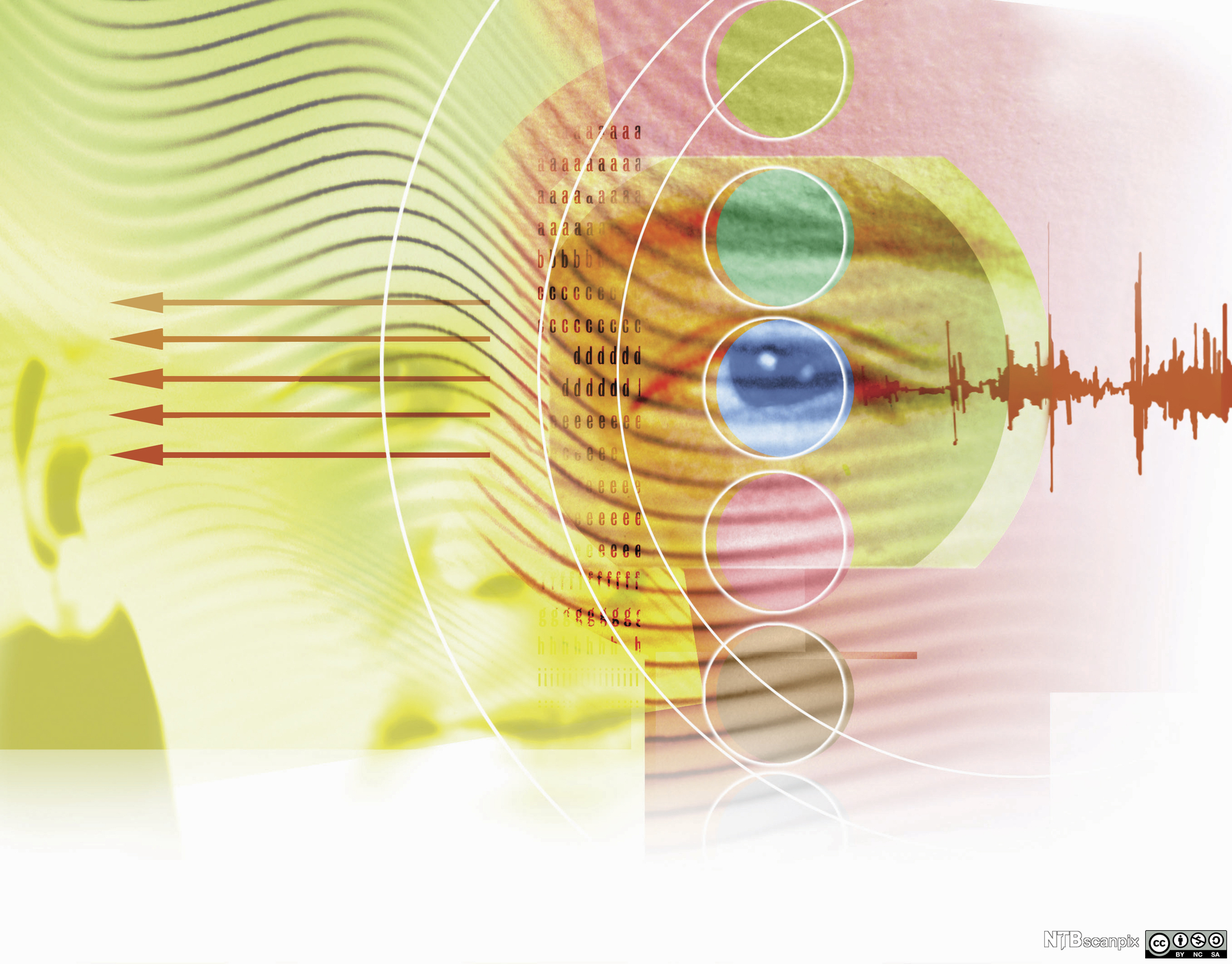 Sirkler, bokstaver, piler og lydbølger over et menneskeansikt. Illustrasjon.