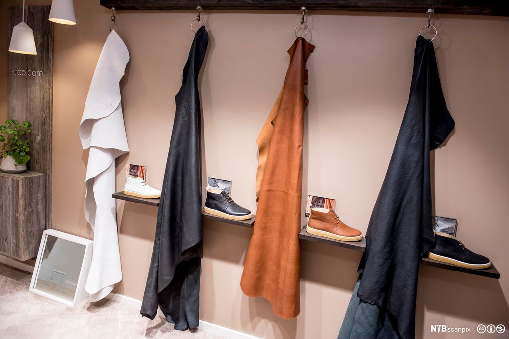 Utstilling som sko er lagd av skinn. Foto.