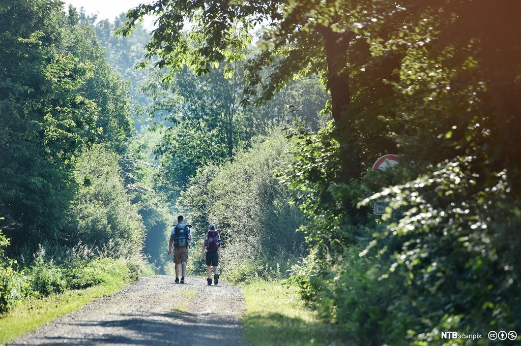 To ungdommer med ryggsekk på tur i skogen. Foto.