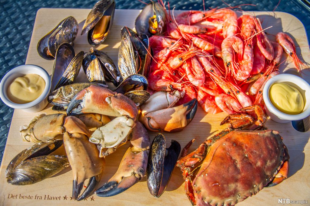 Bord med krabbe, reker, blåskjell og majones. Foto.