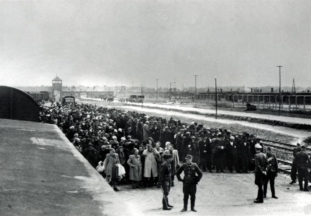Udatert bilde som viser utvelgelsesrutinen ved Auschwitz. Ungarske jøder står oppstilt langs jernbanesporet som ender i konsentrasjonsleiren. Menn til høyre, kvinner og barn til venstre. Foran dem står offiserene som skal foreta utvelgelsen. De som ikke ble ansett som arbeidsdyktige ble sortert bort og sendt til gasskamrene.