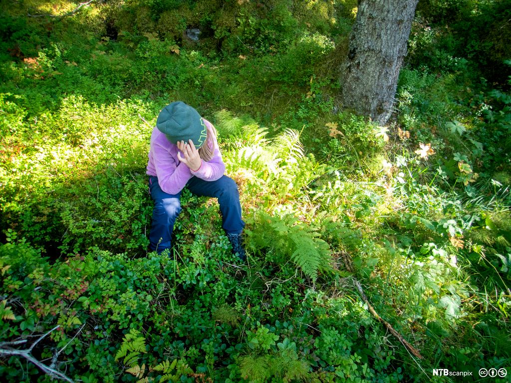 En person sitter i skogen og holder seg til hodet. Foto. 