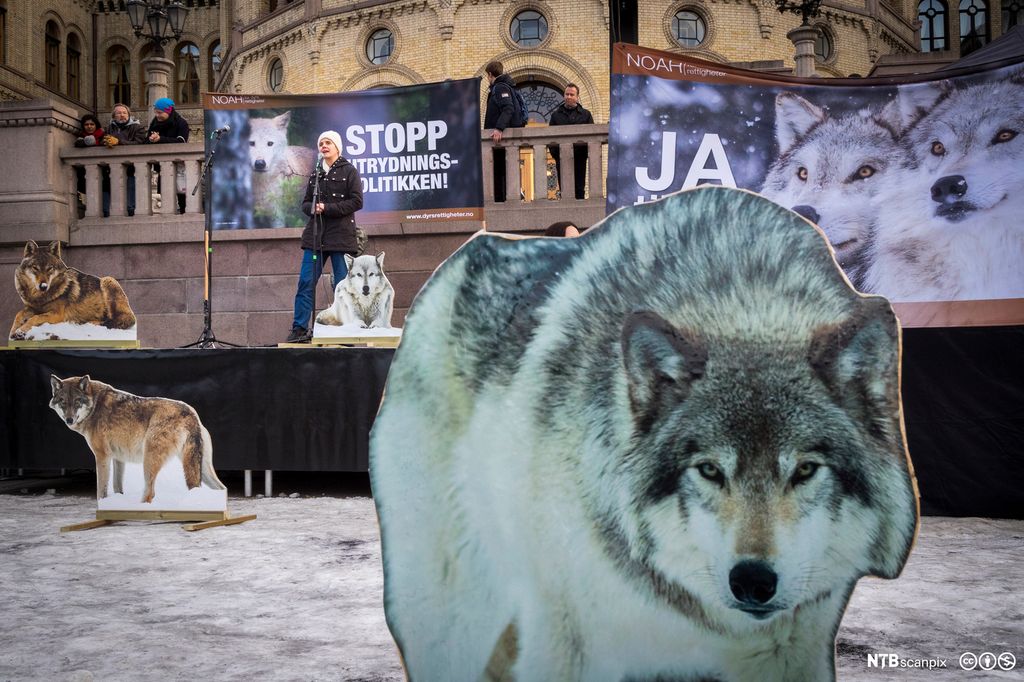 I bakgrunnen NOAH-leiar Siri Martinsen som held ein appell. I forgrunnen ein stor ulvefigur i papp. Foto.