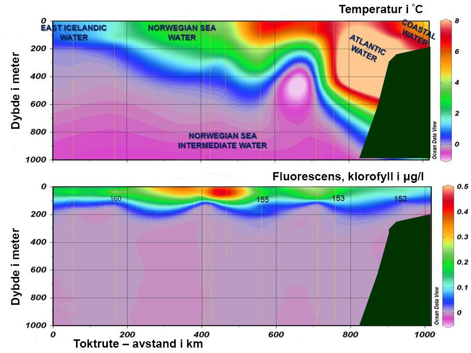 Plansje over produksjon og temperatur i havet. Figur.