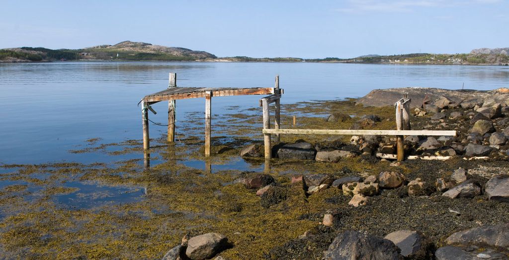 En falleferdig brygge står i fjæra. Foto.