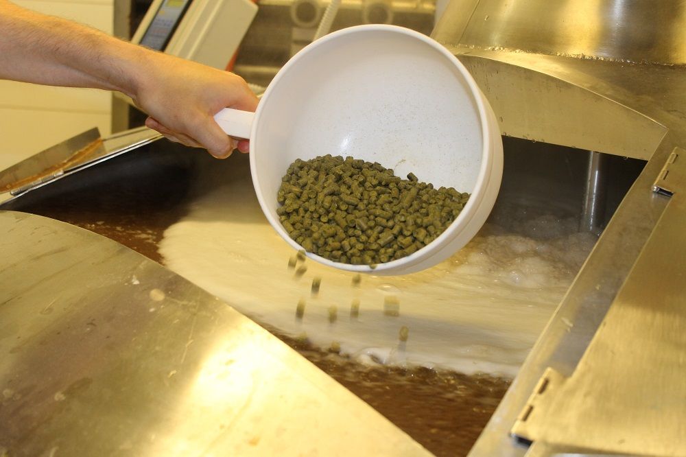 Ei hvit øse inneholder humle som blir tilsatt i bryggekjelen med vørter. Foto.