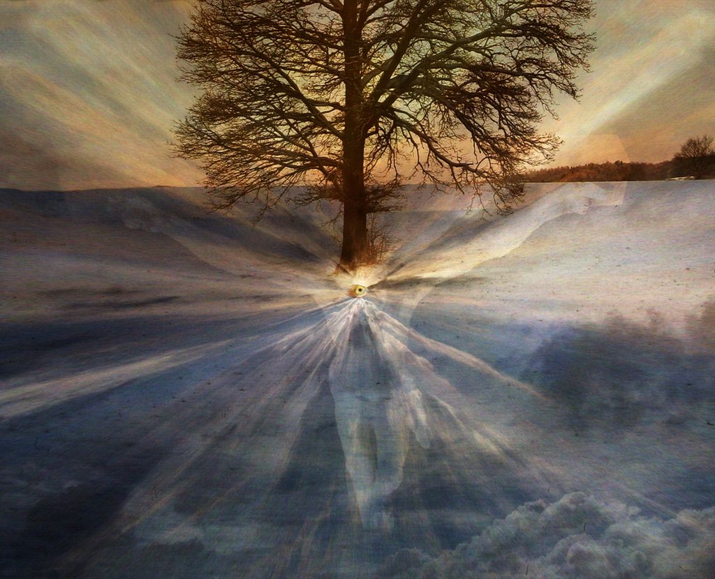 Tree of Truth.ilustration.