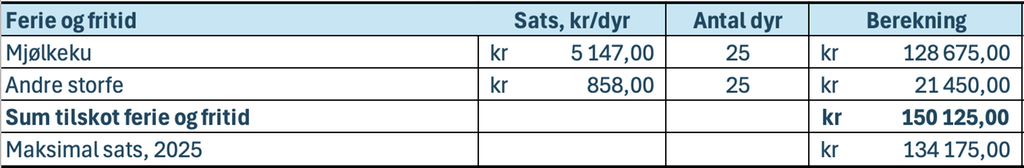 Skjermbilete av tabell som viser tilskot til ferie og fritid. Innhaldet ligg vedlagt i reknearket under tittelen Samla oppsett for tilskota til garden, rad 17 til 21. Skjermutklipp.