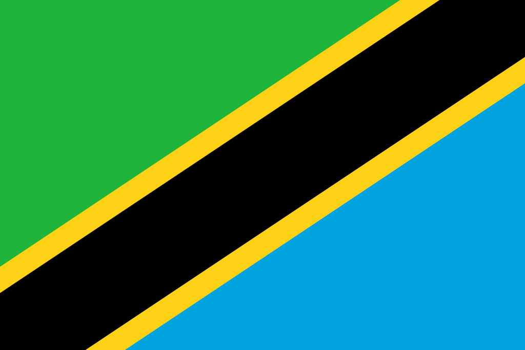 Flagget til Tanzania har en svart diagonal stripe fra nedre venstre til øvre høyre hjørne, kantet med smale gule striper. Øverst til venstre er feltet grønt, og nederst til høyre er feltet blått.