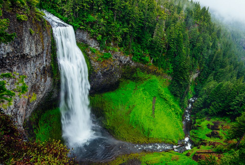Foss og grønt skoglandskap. Foto.