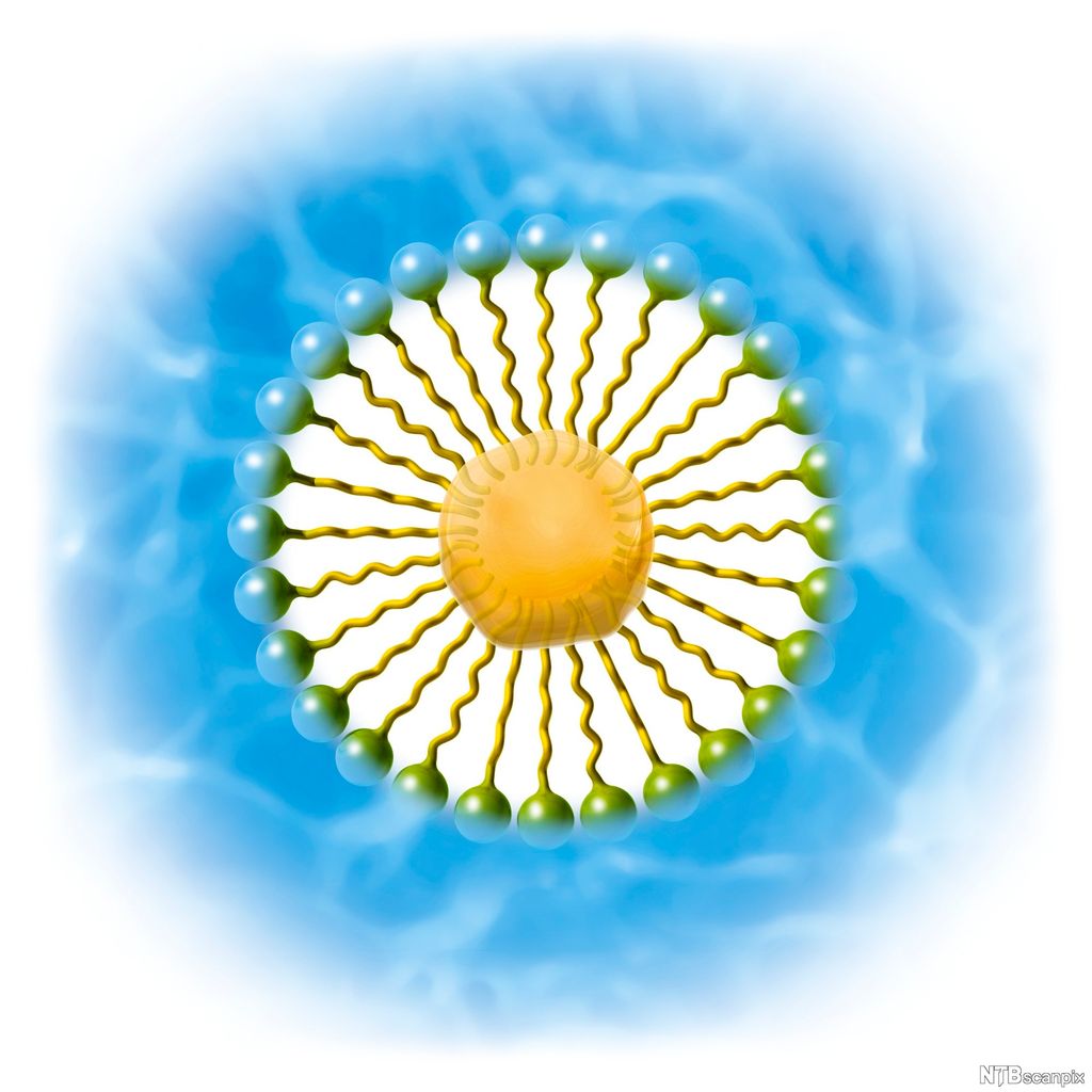 Molekyler organisert i kuleform. Illustrasjon.