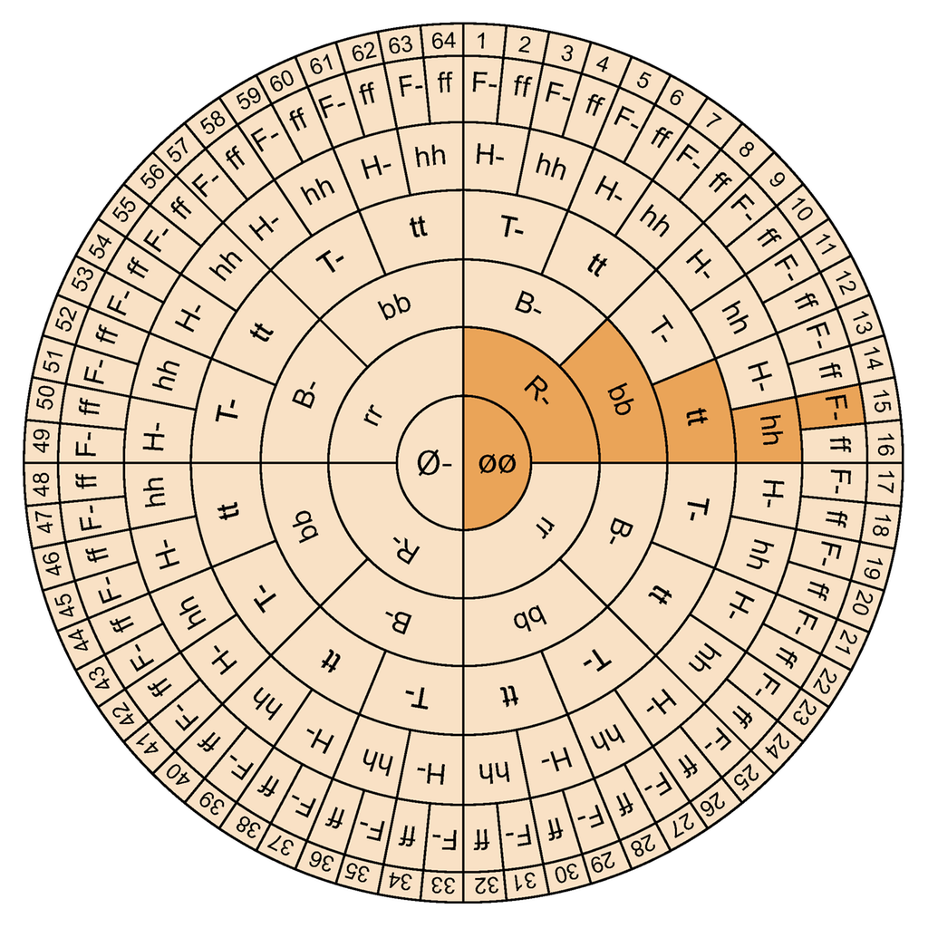 Figuren viser et genetisk hjul som deles inn i 64 felter ytterst. Hjulet har seks konsentriske ringer fra sentrum og utover som brukes til å kartlegge egenskaper. Den innerste ringen representerer et valg mellom frie øreflipper vist med stor bokstav Ø eller fastvokste øreflipper vist med to små bokstaver ø. Ring 2 representerer et valg mellom evne til å rulle tunga vist med stor bokstav R eller ikke rulle tunga vist med to små bokstaver r. Ring 3 representerer et valg mellom bøyd lillefinger vist med stor bokstav B eller rett lillefinger vist med to små bokstaver b. Ring 4 representerer et valg mellom rett tommel vist med stor bokstav T eller haiketommel vist med to små bokstaver t. Ring 5 representerer et valg mellom hår på fingrene vist med stor bokstav H eller ikke hår på fingrene vist med to små bokstaver h. Den sjette ringen representerer et valg mellom fregner vist med stor bokstav F eller ikke fregner vist med to små bokstaver f. Ytterst står tallene fra 1 til 64. Ett eksempel er fargelagt fra sentrum og ut til tallet 15. Eksempelet går gjennom stor bokstav Ø for frie øreflipper, stor bokstav R for å rulle tunga, to små bokstaver b for rett lillefinger, to små bokstaver t for rett tommel, to små bokstaver h for ikke hår på fingrene og til slutt stor bokstav F for fregner. Da ender man opp på tallet 15.