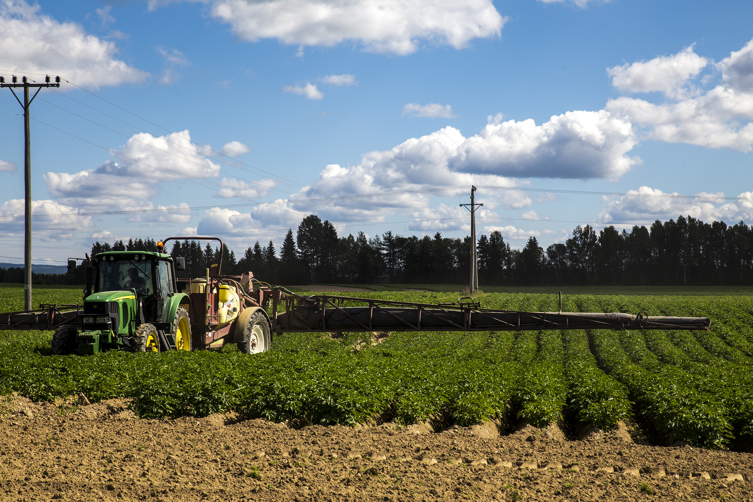 Traktor med sprøyteutstyr sveiper over grønne planter på en åker. Foto.