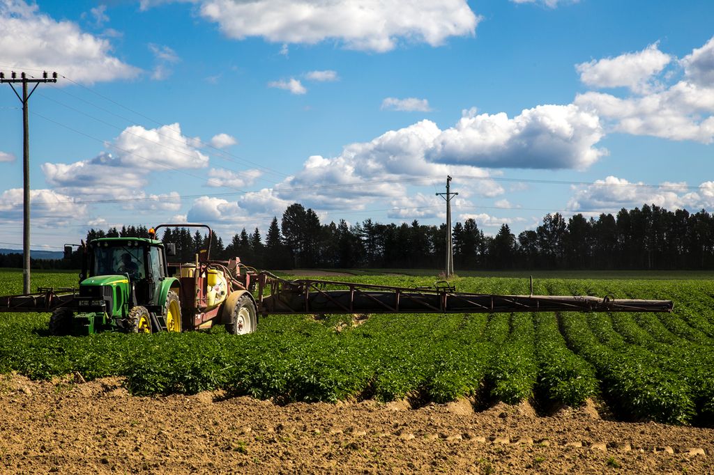 Traktor med sprøyteutstyr sveiper over grønne planter på en åker. Foto.