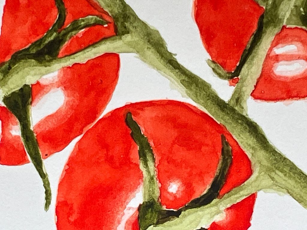 Detaljar frå ein akvarell der tomatar og stilkar er måla i ulike valørar. Illustrasjon.