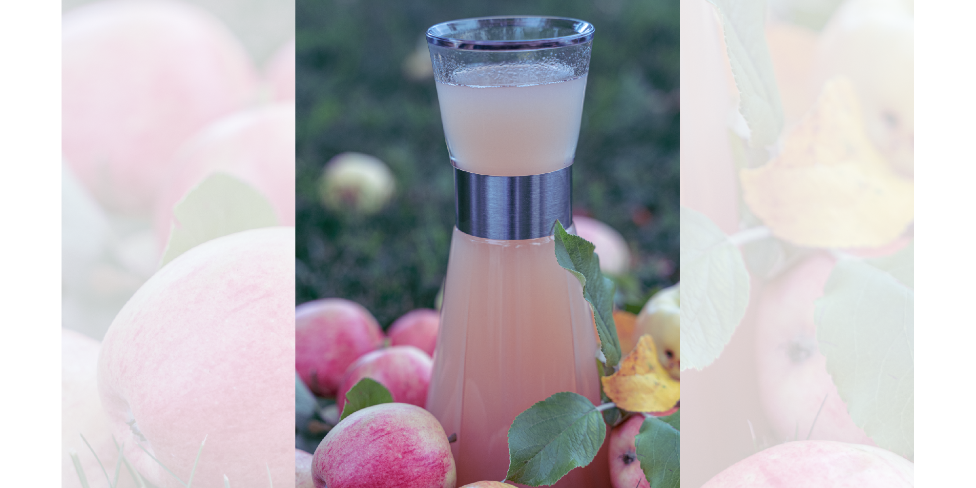 En karaffel med lys rosa drikke omgitt av fargerike epler. Drikken er ikke klar. Foto.