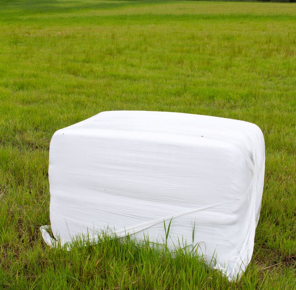 Hvit firkantball på et grønt jorde. Foto.