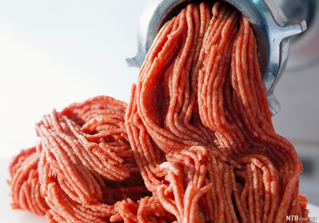 Kjøttdeig som kommer ut av en kjøttkvern. Foto.