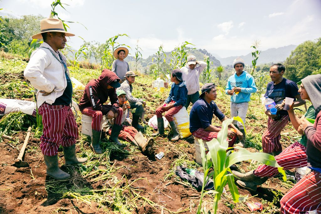 Ei gruppe personer tar en pause fra arbeidet i åkeren. Foto.