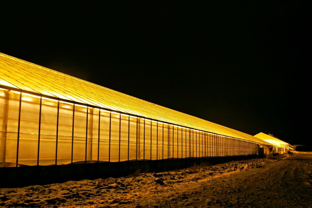 Opplyst veksthus om natta. Foto.