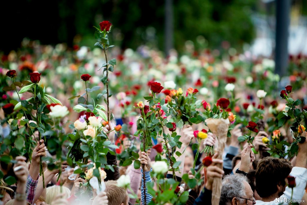 Roser i folkehavet. Hender som løfter roser i mange forskjellige farger. 