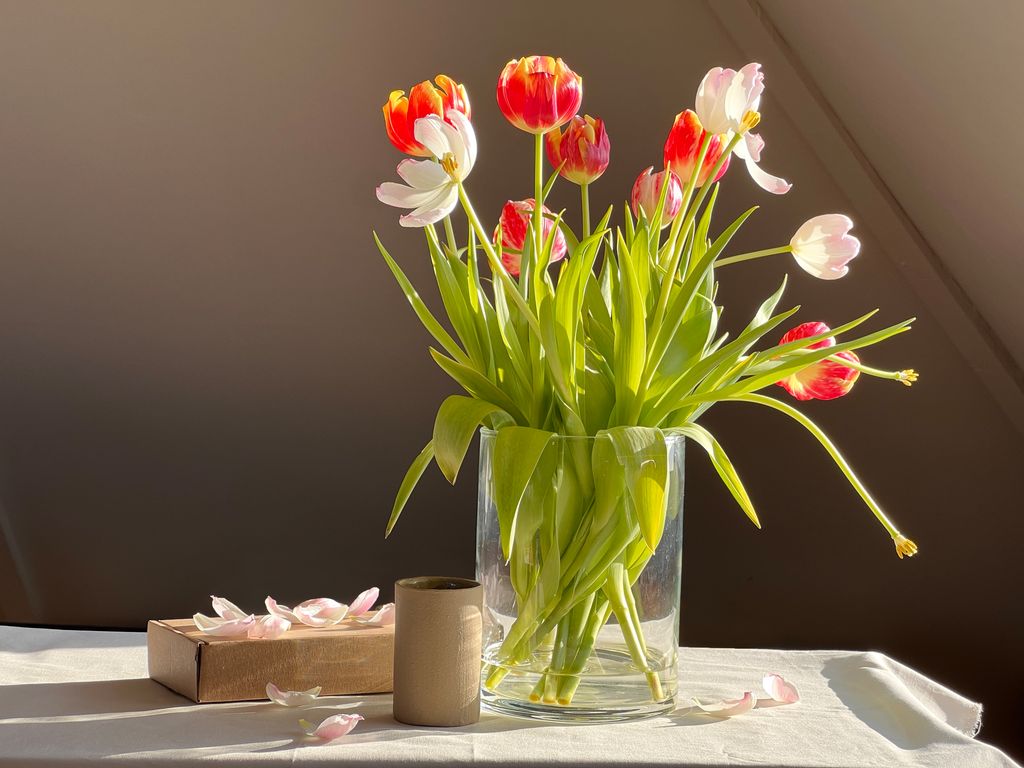 Ei eske, en kopp og en vase med tulipaner. Foto.