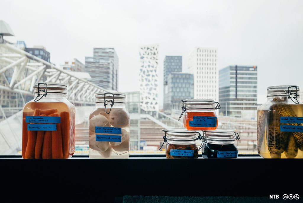 Forskjellige typer fermenterte grønnsaker oppbevart på glass plassert i en vinduskarm med Barcode i Oslo i bakgrunnen. Foto.