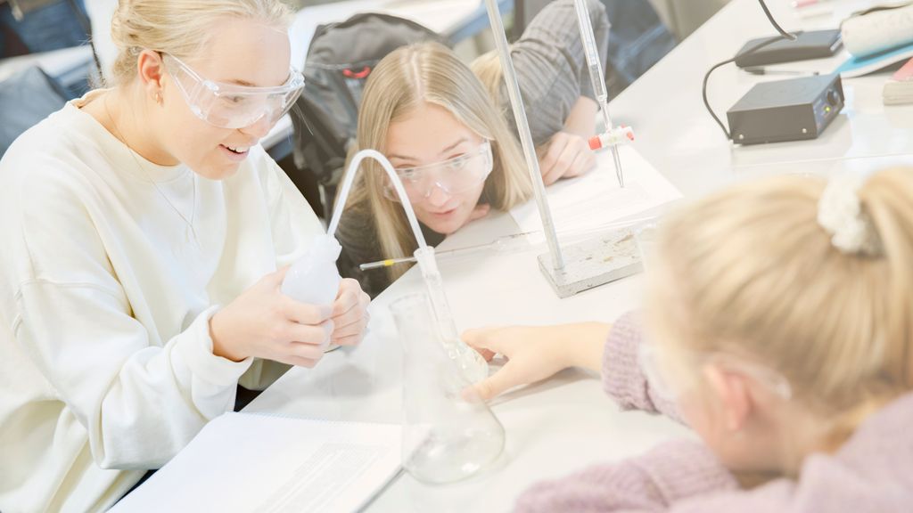 Golbma nieidda barget jargŋiin ja golgosiin laboratoriijas. Govva.