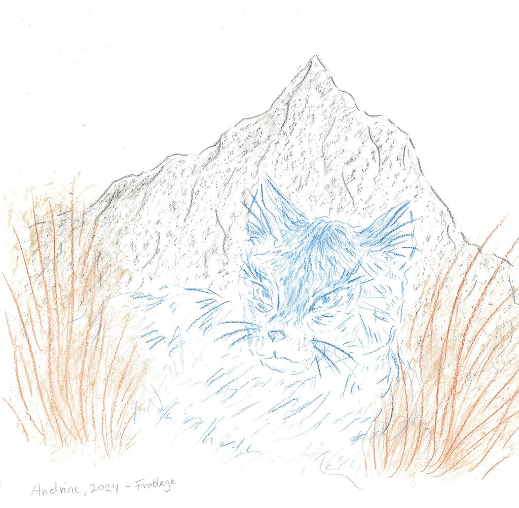 Ein katt ligg i graset med eit fjell i bakgrunnen. Fjellformasjonen er fylt med visuell tekstur. Illustrasjon.