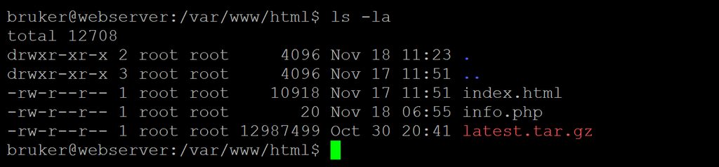 "ls -la"-kommando som viser at ei ny fil er i mappa "latest.tar.gz". Skjermbilde.