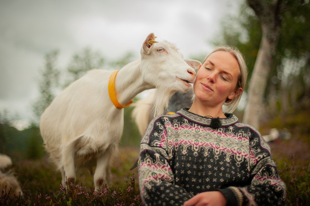 Ei dame sitter i lyngen, og ei geit som står på skrå bak henne, strekker fram mulen mot damas kinn. Foto.