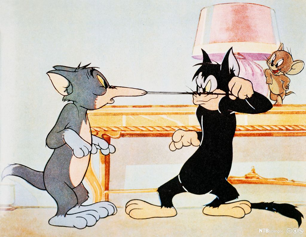 En katt trekker i værhårene til Tom. Bilde.