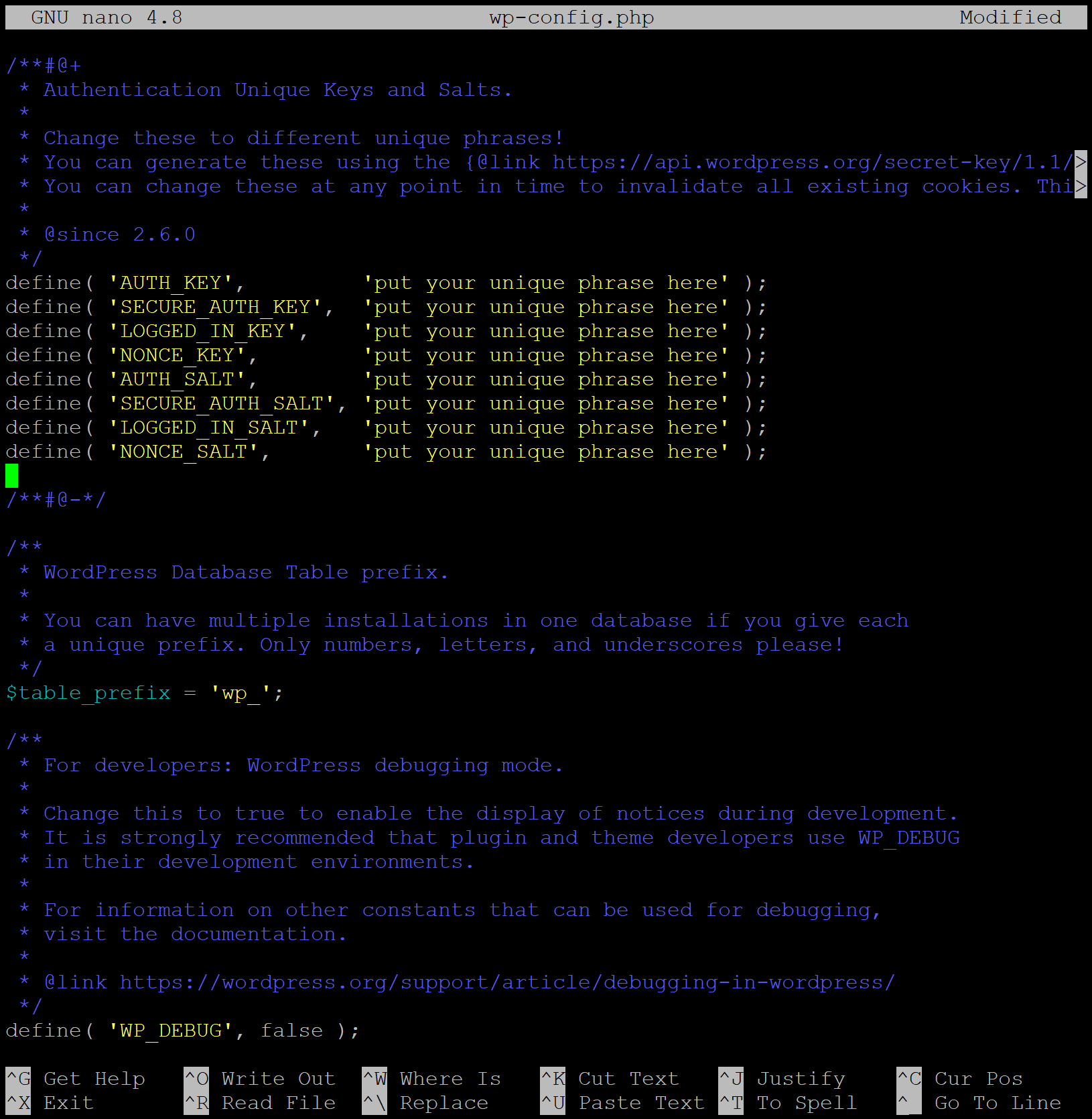 Åtte linjer hvor det kan legges inn 60 tilfeldige tegn, disse er merket med "put your unique phrase here". Skjermbilde.